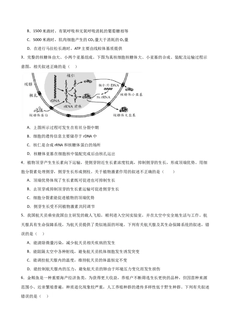 黄金卷04（考试版）-赢在高考&middot;黄金8卷备战2024年高考生物模拟卷（全国卷专用）_2024高考押题卷_92024赢在高考全系列_赢在高考&middot;黄金8卷备战2024年高考生物模拟卷