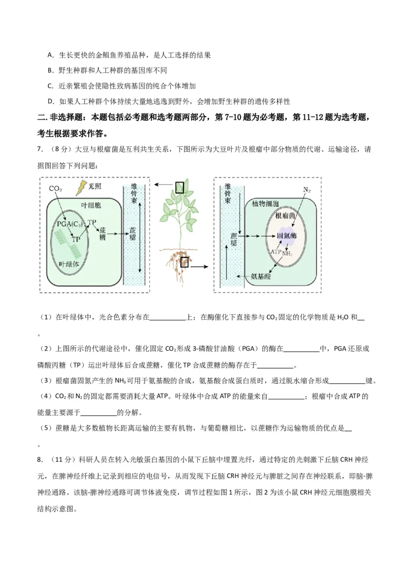 黄金卷04（考试版）-赢在高考&middot;黄金8卷备战2024年高考生物模拟卷（全国卷专用）_2024高考押题卷_92024赢在高考全系列_赢在高考&middot;黄金8卷备战2024年高考生物模拟卷