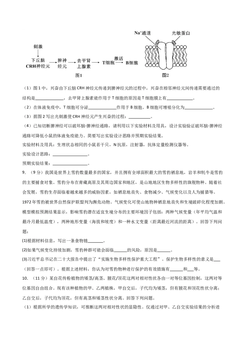 黄金卷04（考试版）-赢在高考&middot;黄金8卷备战2024年高考生物模拟卷（全国卷专用）_2024高考押题卷_92024赢在高考全系列_赢在高考&middot;黄金8卷备战2024年高考生物模拟卷