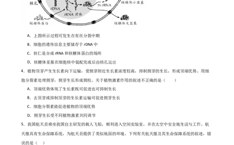 黄金卷04（考试版）-赢在高考&middot;黄金8卷备战2024年高考生物模拟卷（全国卷专用）_2024高考押题卷_92024赢在高考全系列_赢在高考&middot;黄金8卷备战2024年高考生物模拟卷