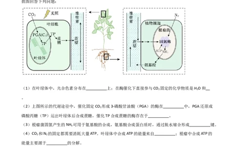 黄金卷04（考试版）-赢在高考&middot;黄金8卷备战2024年高考生物模拟卷（全国卷专用）_2024高考押题卷_92024赢在高考全系列_赢在高考&middot;黄金8卷备战2024年高考生物模拟卷