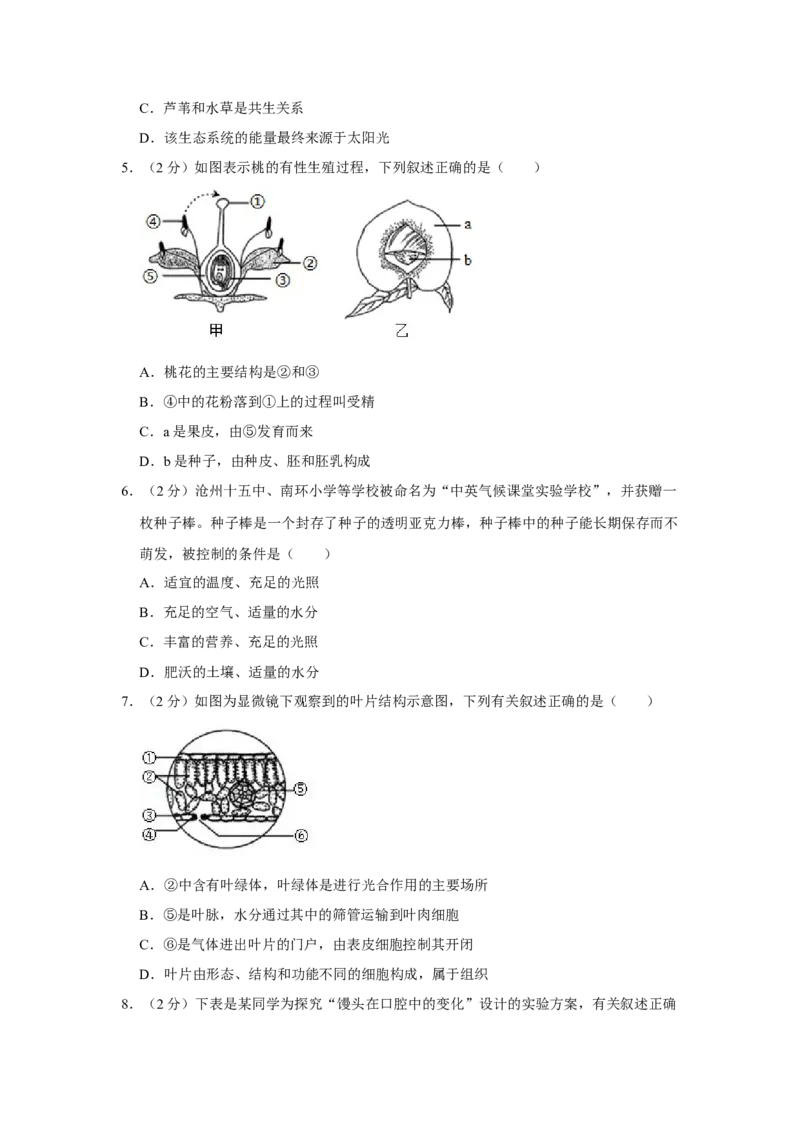 2017年河北省沧州市中考生物试题（原卷版）_河北中考_6.河北生物2015-2024年卷