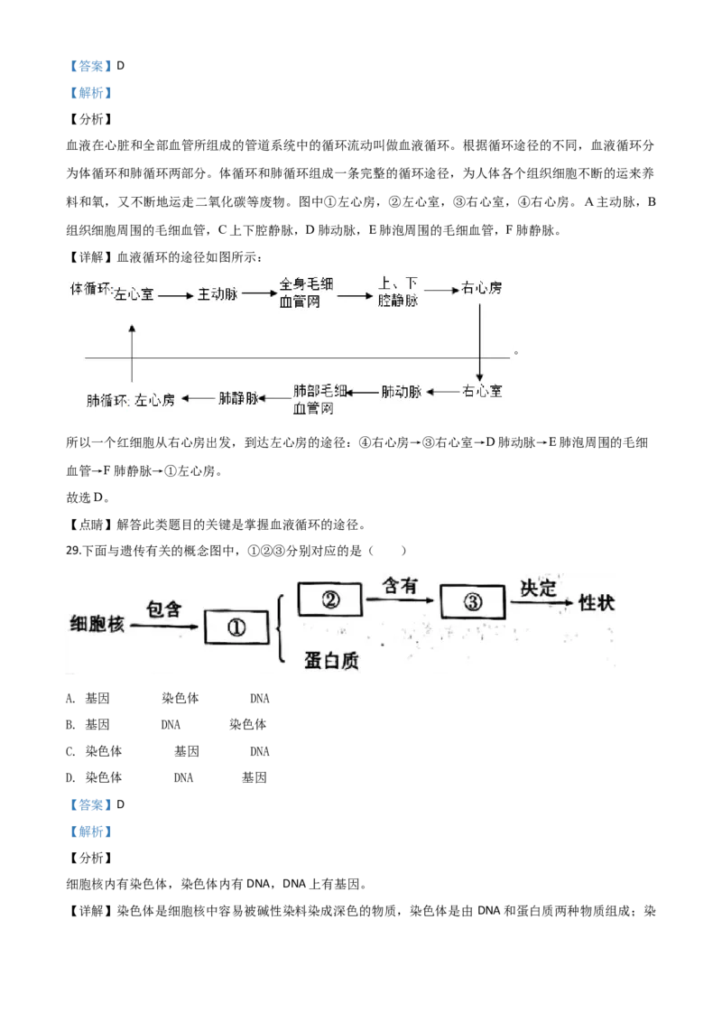 2020年陕西省中考生物真题（解析卷）_陕西_6.陕西中考生物（2016-2025）