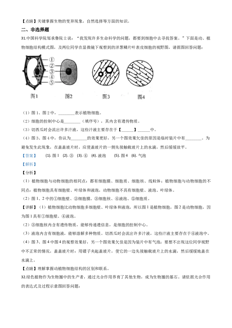 2020年陕西省中考生物真题（解析卷）_陕西_6.陕西中考生物（2016-2025）