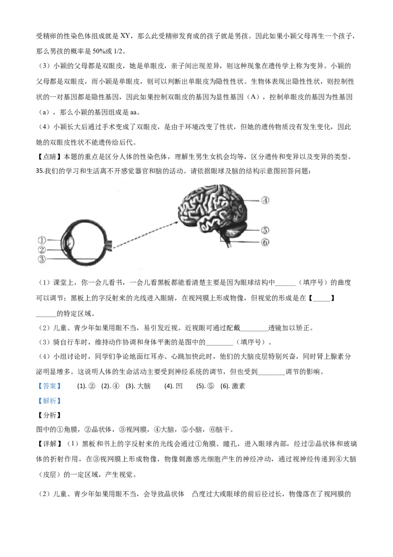 2020年陕西省中考生物真题（解析卷）_陕西_6.陕西中考生物（2016-2025）