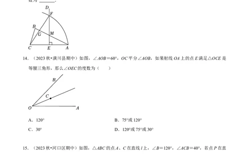 期末重点强化三等腰三角形期末复习学案（学生版）_初中数学_八年级数学上册（人教版）_专题训练+提分专项训练-V6