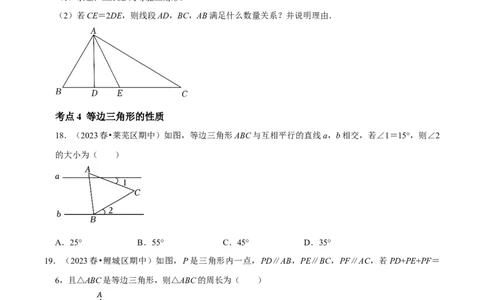 期末重点强化三等腰三角形期末复习学案（学生版）_初中数学_八年级数学上册（人教版）_专题训练+提分专项训练-V6
