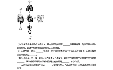 2020年贵州省贵阳六盘水市中考生物真题及解析_贵州中考_6.贵州中考生物（2015-2025）