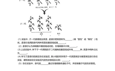 2020年贵州省贵阳六盘水市中考生物真题及解析_贵州中考_6.贵州中考生物（2015-2025）