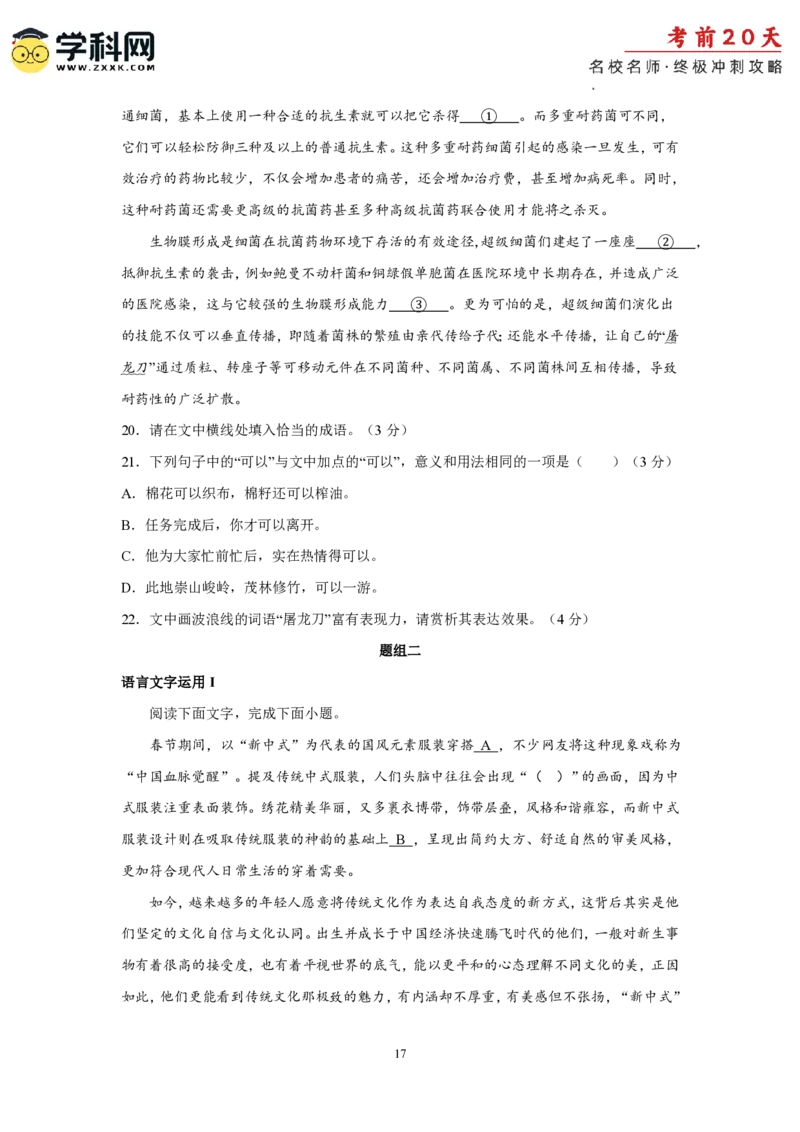 语文（四）-2024年高考考前20天终极冲刺攻略_2024高考押题卷_62024学科网全系列_21学科网高考考前终极攻略_语文-2024年高考考前20天终极冲刺攻略