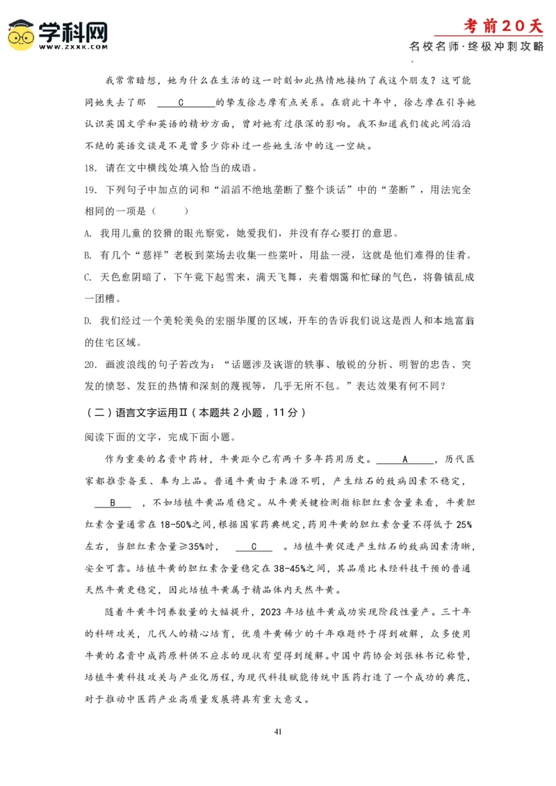 语文（四）-2024年高考考前20天终极冲刺攻略_2024高考押题卷_62024学科网全系列_21学科网高考考前终极攻略_语文-2024年高考考前20天终极冲刺攻略