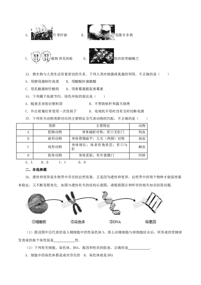 2016年河北省保定市中考生物试题（原卷版）_河北中考_6.河北生物2015-2024年卷