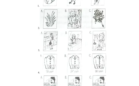 2017年贵州省遵义市中考英语试卷及答案_贵州中考_3.贵州中考英语（2008-2025）_遵义英语15-24