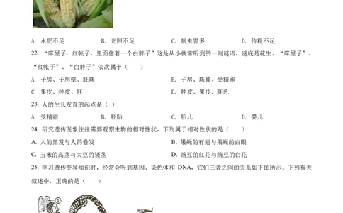 2022年河北省石家庄市会考生物试题（原卷版）_河北中考_6.河北生物2015-2024年卷