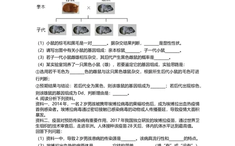 2019年贵州省贵阳市中考生物试卷及解析_贵州中考_6.贵州中考生物（2015-2025）
