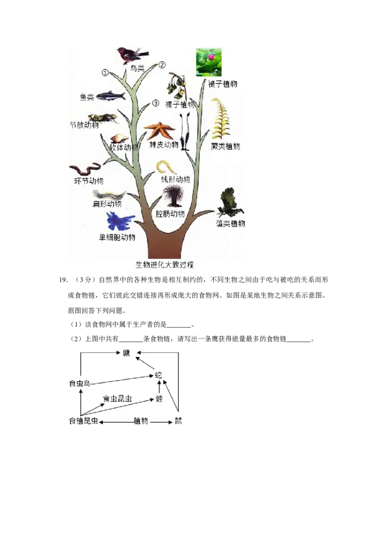 2015年河北省保定市中考生物试题（原卷版）_河北中考_6.河北生物2015-2024年卷
