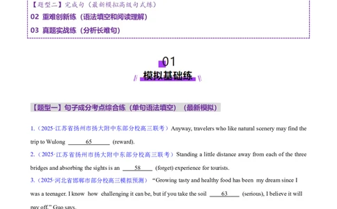 专题06句子成分、基本句型和长难句分析（练习）（原卷版）_02高考数学_2025年新高考资料_二轮复习_01高考语文等多个文件_上好课2025年高考英语二轮复习讲练测（新高考通用）