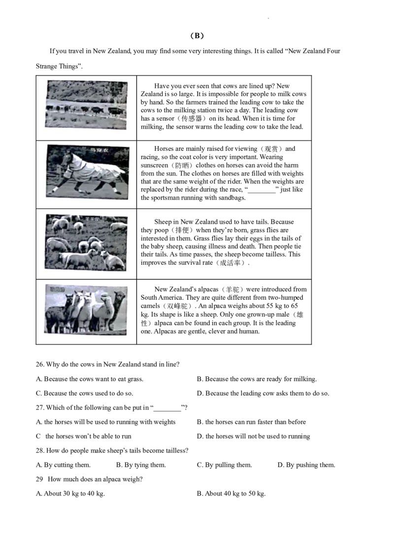 2022年贵州省毕节市中考英语真题（原卷版）_贵州中考_3.贵州中考英语（2008-2025）_毕节英语10-24