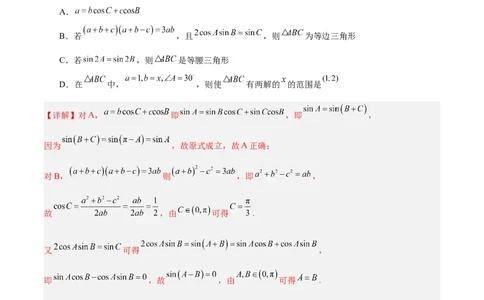 专题06解三角形及应用（3大易错点分析+解题模板+举一反三+易错题通关）-备战2024年高考数学考试易错题（新高考专用）（解析版）_02高考数学_新高考复习资料_2024年新高考资料