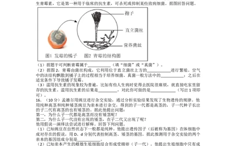 2024年贵州省贵阳市中考生物试卷及解析_贵州中考_6.贵州中考生物（2015-2025）