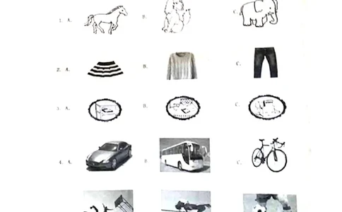 2019年贵州六盘水中考英语真题及答案_贵州中考_六盘水_03六盘水中考英语2015-2025_真题