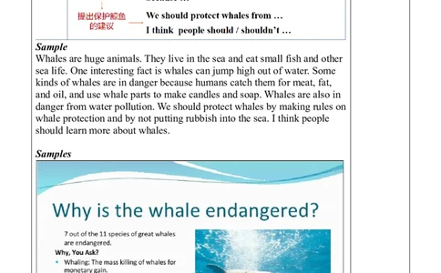 Unit7SectionB（3a-SelfCheck）教案_人教版英语八年级下册_2026春人教版英语八年级下册资料_人教八下（旧版）_01.英语8下-核心素养教案+PPT课件(第1套)_8下英教案（含核心素养）_Unit7