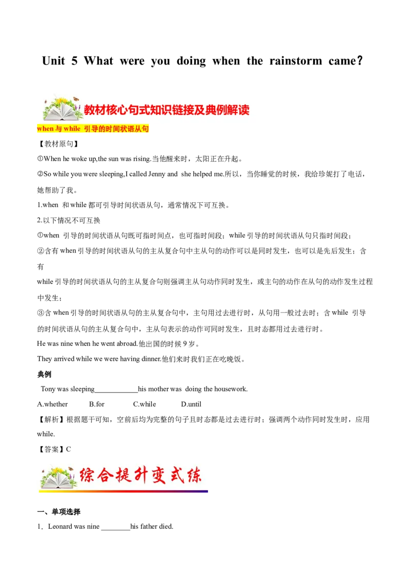 5.2核心句式（解析版）八年级英语下册链接教材精准变式练（人教版）_人教版英语八年级下册_2026春人教版英语八年级下册资料_人教八下（旧版）_07.英语8下-试题_专项练习