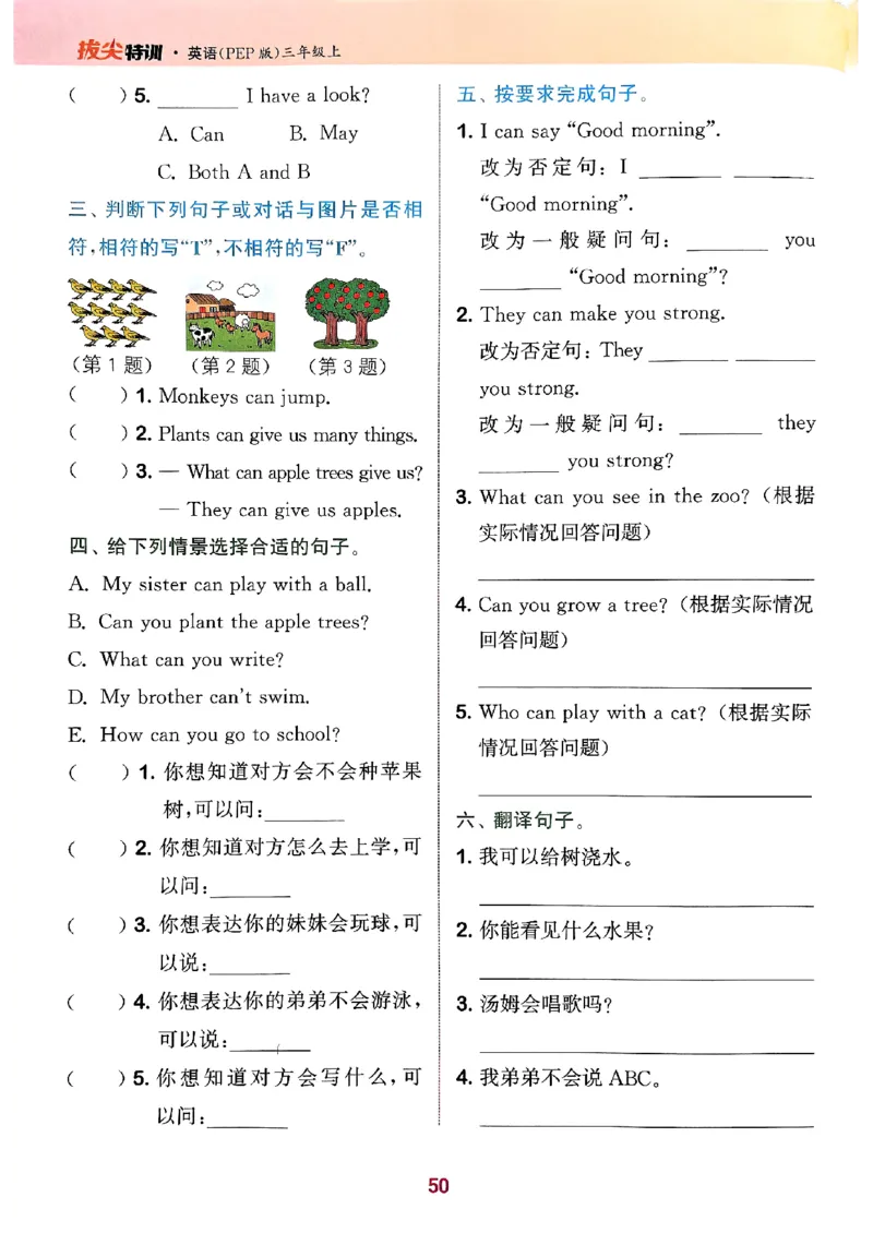 三年级英语上册人教PEP版25秋《拔尖特训》_25秋《拔尖特训》小学语数英各版本_3-6年级英语上册人教PEP版25秋《拔尖特训》_三年级英语上册人教PEP版25秋《拔尖特训》