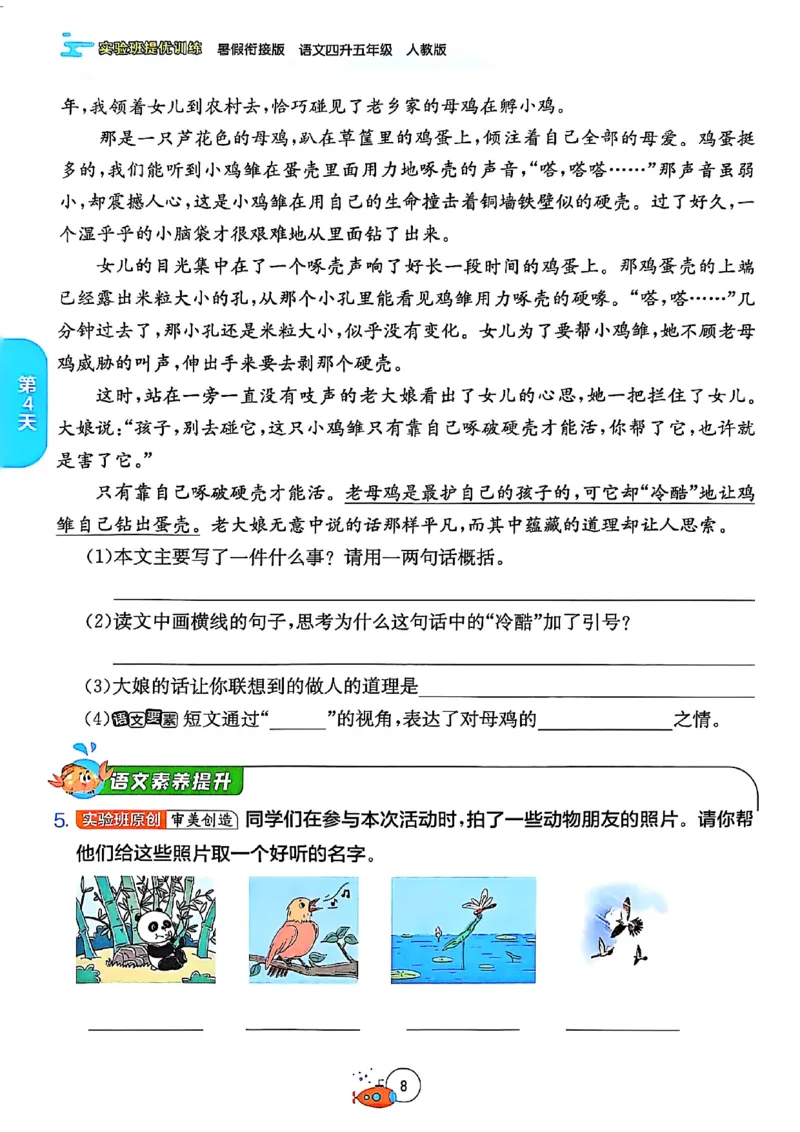 25版《实验班提优训练暑假衔接》语文4升5_25秋《实验班》系列_25版实验班语数英人教北师大苏教译林《暑假衔接》_实验班暑假衔接语文25年