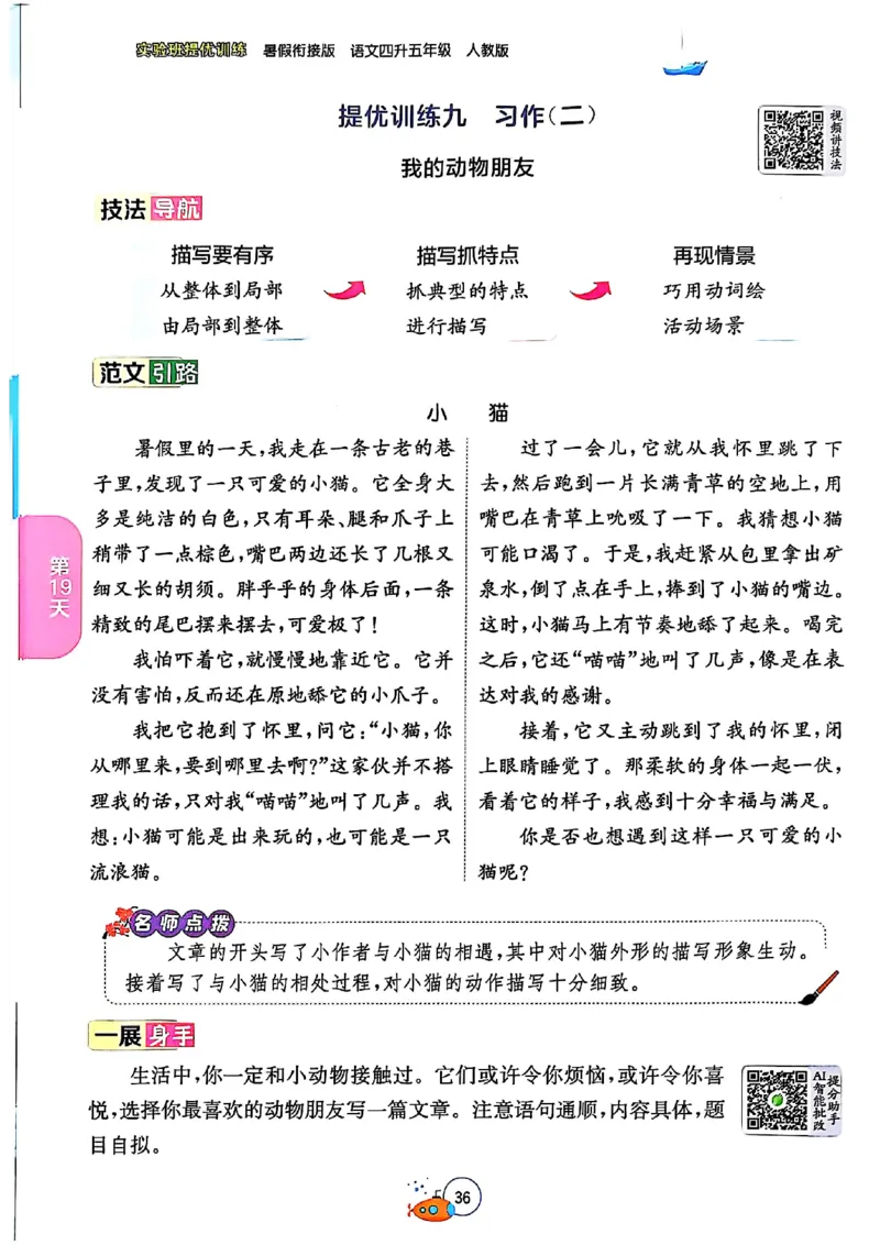 25版《实验班提优训练暑假衔接》语文4升5_25秋《实验班》系列_25版实验班语数英人教北师大苏教译林《暑假衔接》_实验班暑假衔接语文25年