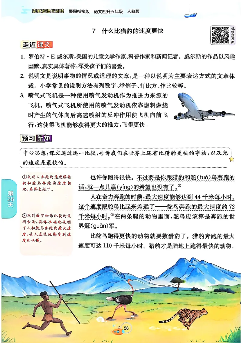 25版《实验班提优训练暑假衔接》语文4升5_25秋《实验班》系列_25版实验班语数英人教北师大苏教译林《暑假衔接》_实验班暑假衔接语文25年