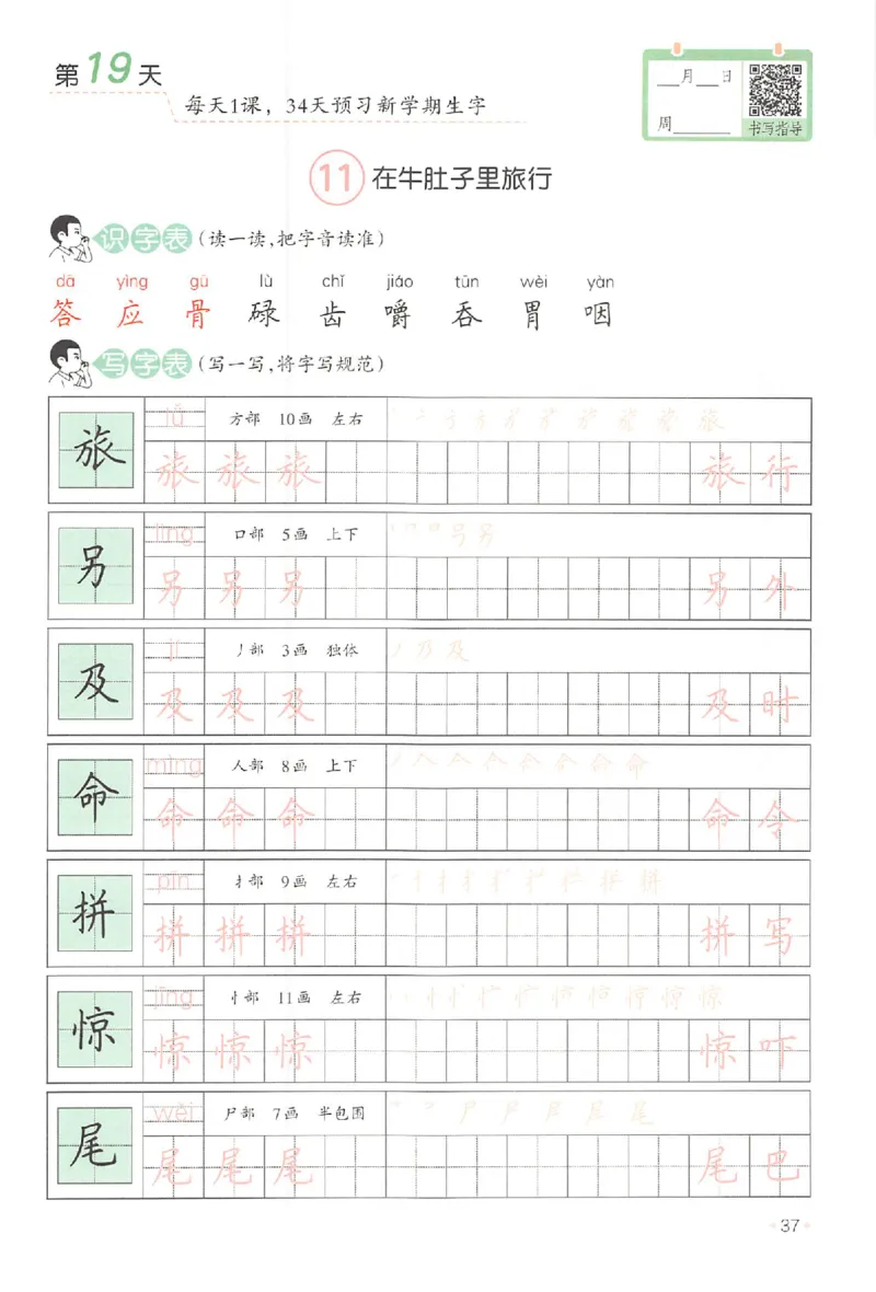 二升三年级25版《一本小学语文暑假练字帖》_25秋《一本》系列_25秋《一本暑假练字帖》