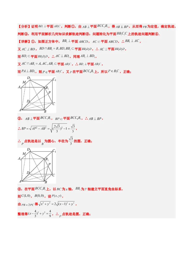 专题11立体几何中的截面与轨迹问题（6大题型）-2025年高考数学二轮热点题型归纳与变式演练（新高考通用）（解析版）_02高考数学_2025年新高考资料_二轮复习_一、题型突破