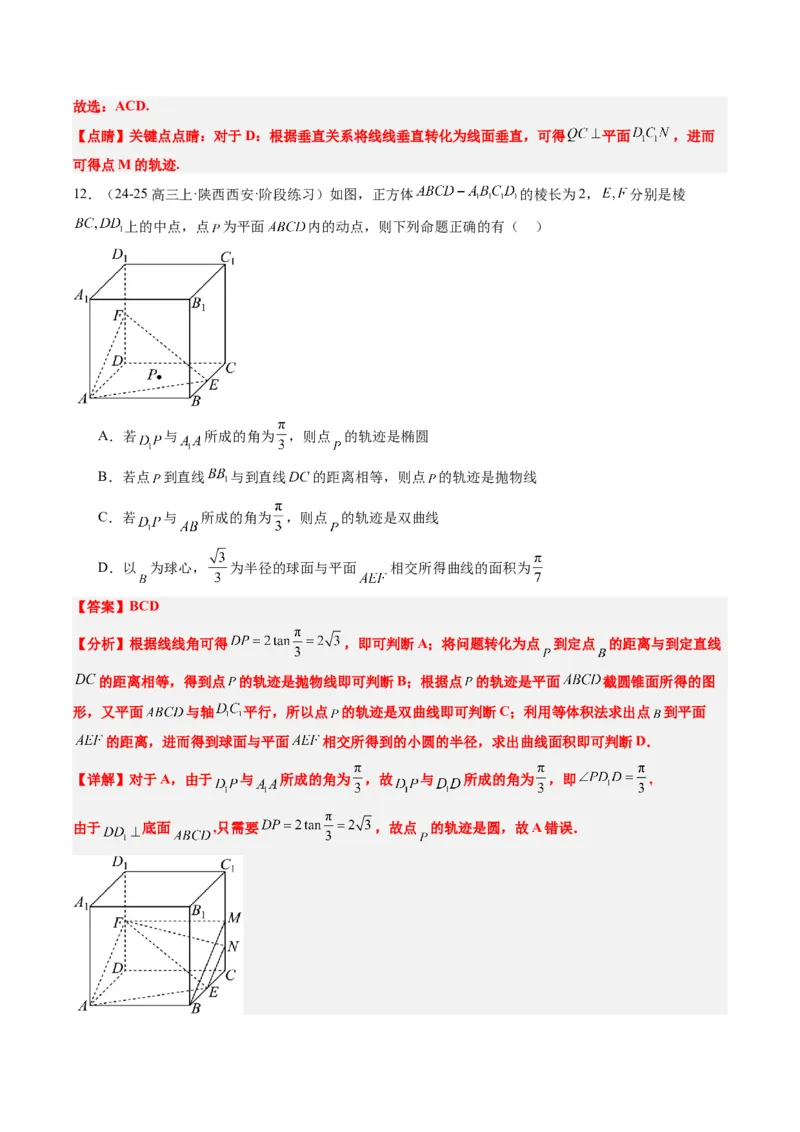 专题11立体几何中的截面与轨迹问题（6大题型）-2025年高考数学二轮热点题型归纳与变式演练（新高考通用）（解析版）_02高考数学_2025年新高考资料_二轮复习_一、题型突破