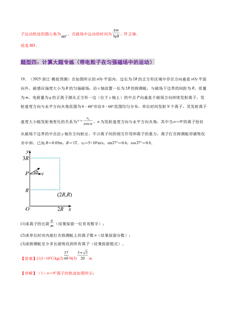 专题10磁场带电粒子在磁场中的运动（练习）（解析版）_03高考英语_2025年新高考资料_二轮复习_01高考语文等多个文件_上好课2025年高考物理二轮复习讲练测（新高考通用）
