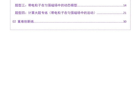 专题10磁场带电粒子在磁场中的运动（练习）（解析版）_03高考英语_2025年新高考资料_二轮复习_01高考语文等多个文件_上好课2025年高考物理二轮复习讲练测（新高考通用）