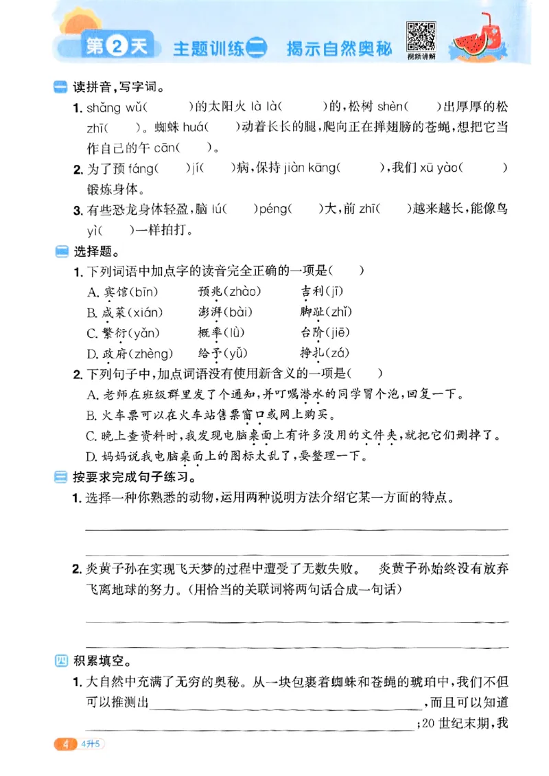 25版《阳光同学暑假衔接》语文4升5-副本_25秋《阳光同学》系列_25年1-6年级语文《阳光同学语文暑假衔接》_4升5