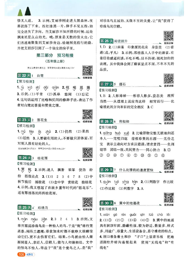 25版《阳光同学暑假衔接》语文4升5-副本_25秋《阳光同学》系列_25年1-6年级语文《阳光同学语文暑假衔接》_4升5