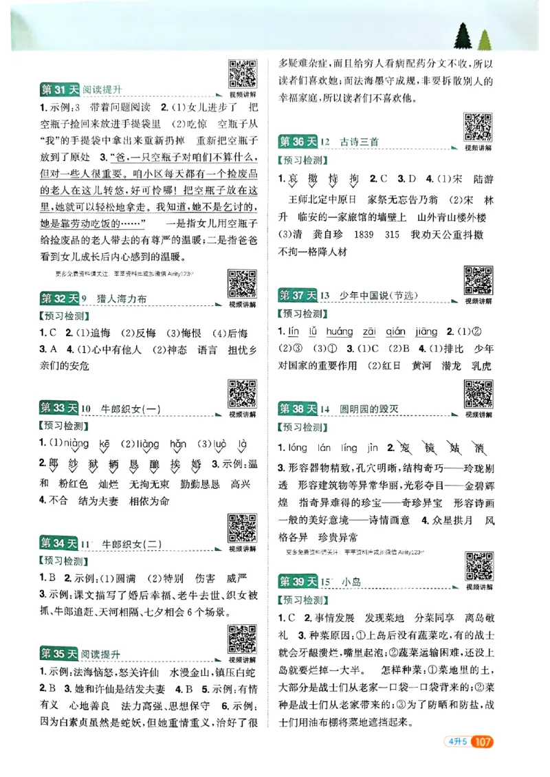 25版《阳光同学暑假衔接》语文4升5-副本_25秋《阳光同学》系列_25年1-6年级语文《阳光同学语文暑假衔接》_4升5