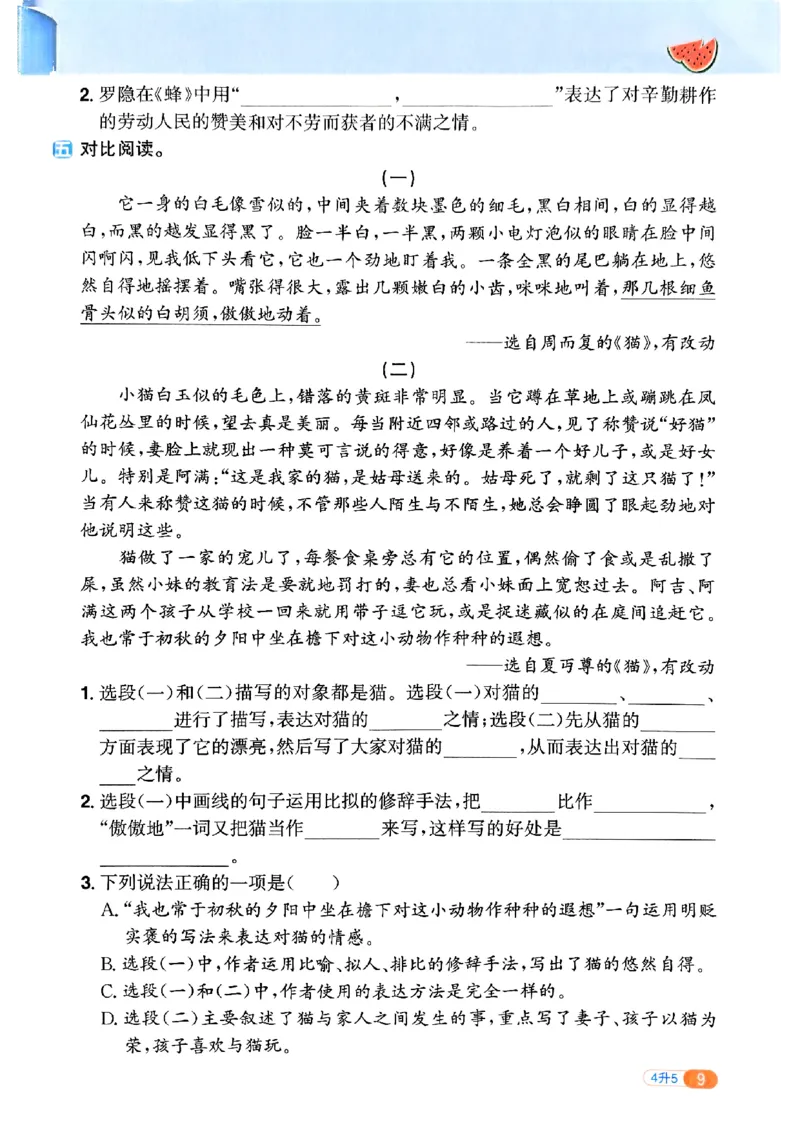 25版《阳光同学暑假衔接》语文4升5-副本_25秋《阳光同学》系列_25年1-6年级语文《阳光同学语文暑假衔接》_4升5