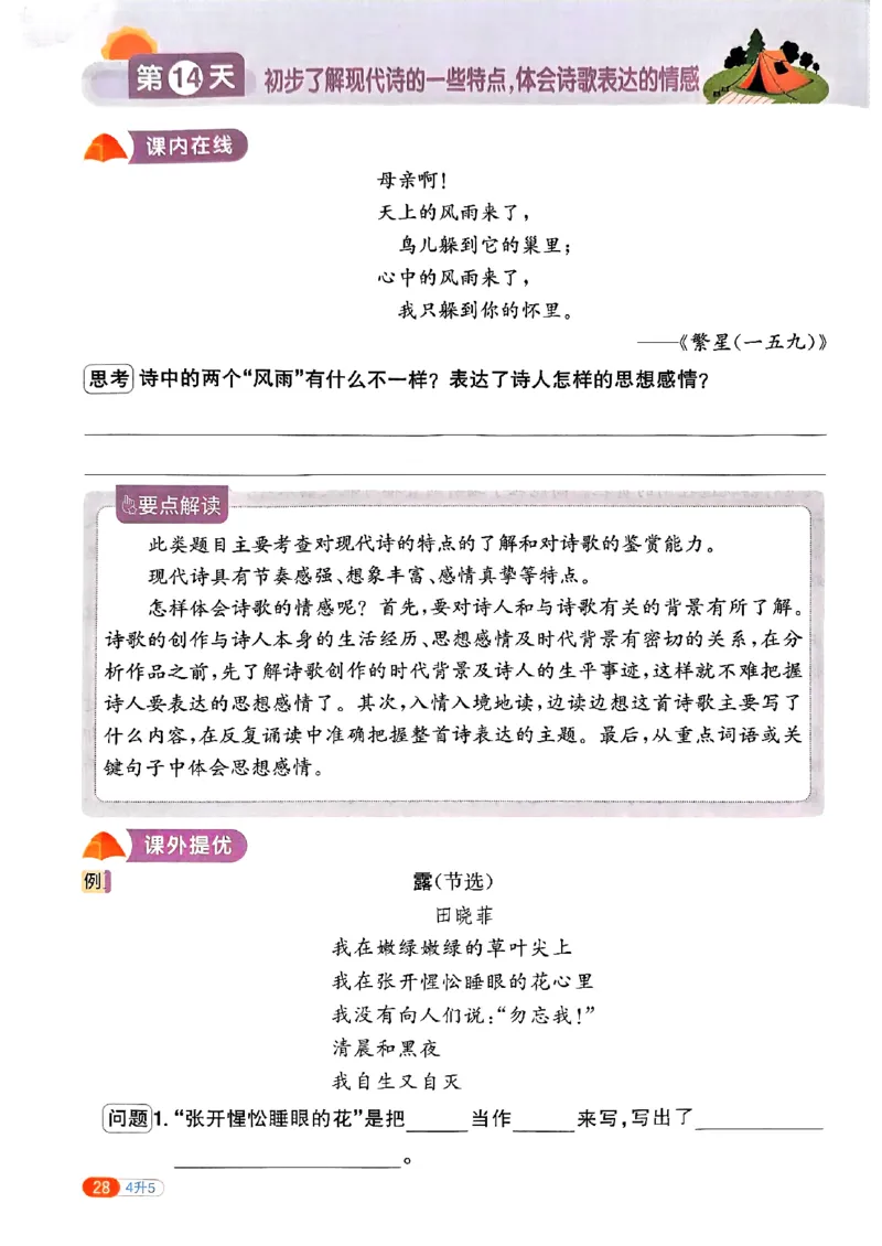 25版《阳光同学暑假衔接》语文4升5-副本_25秋《阳光同学》系列_25年1-6年级语文《阳光同学语文暑假衔接》_4升5