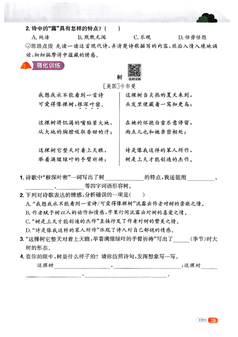 25版《阳光同学暑假衔接》语文4升5-副本_25秋《阳光同学》系列_25年1-6年级语文《阳光同学语文暑假衔接》_4升5