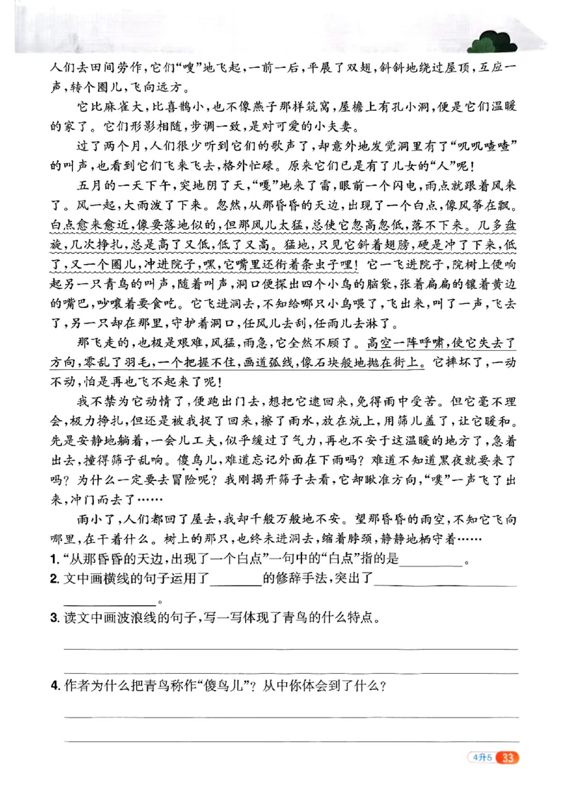 25版《阳光同学暑假衔接》语文4升5-副本_25秋《阳光同学》系列_25年1-6年级语文《阳光同学语文暑假衔接》_4升5