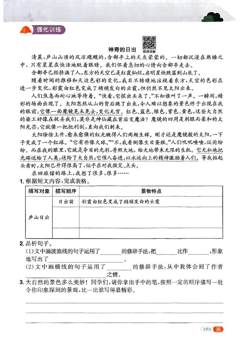 25版《阳光同学暑假衔接》语文4升5-副本_25秋《阳光同学》系列_25年1-6年级语文《阳光同学语文暑假衔接》_4升5