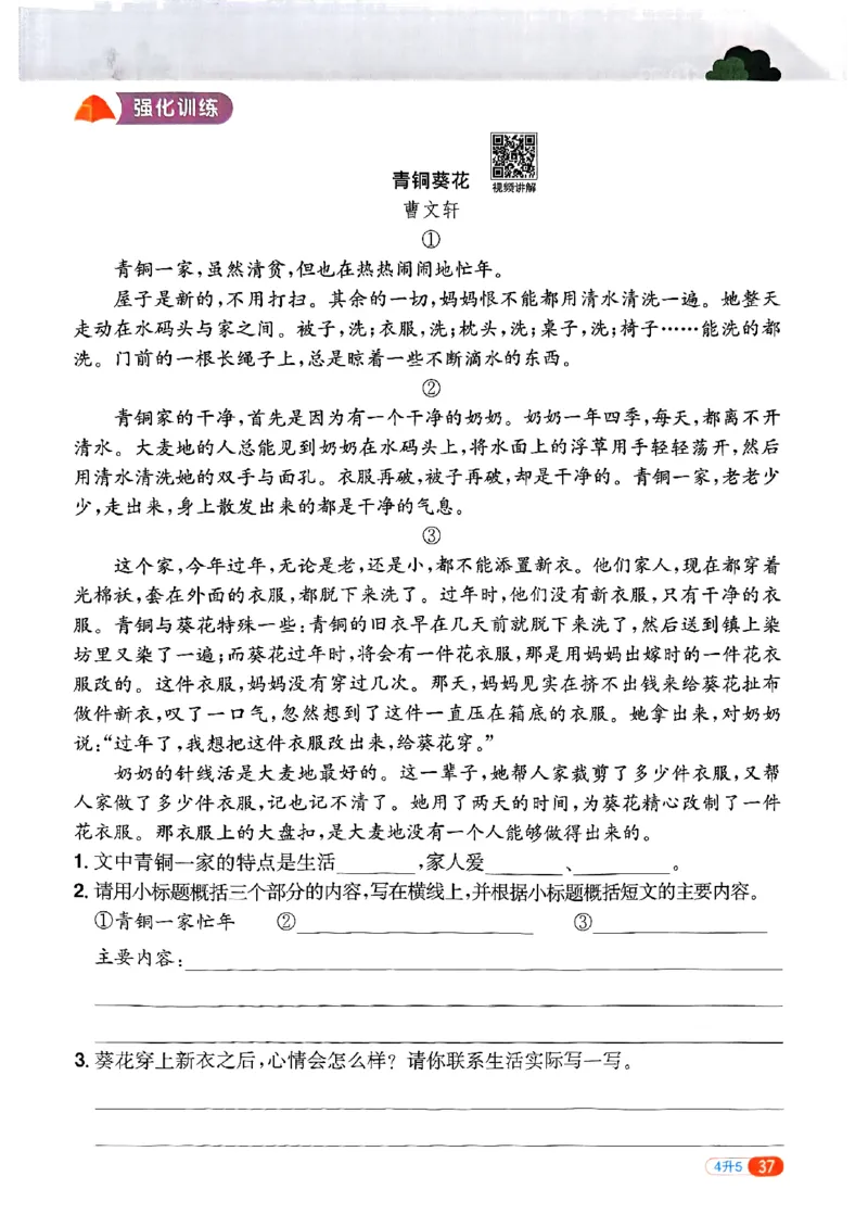 25版《阳光同学暑假衔接》语文4升5-副本_25秋《阳光同学》系列_25年1-6年级语文《阳光同学语文暑假衔接》_4升5