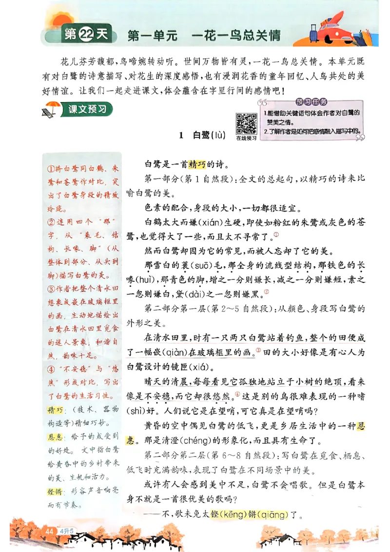 25版《阳光同学暑假衔接》语文4升5-副本_25秋《阳光同学》系列_25年1-6年级语文《阳光同学语文暑假衔接》_4升5