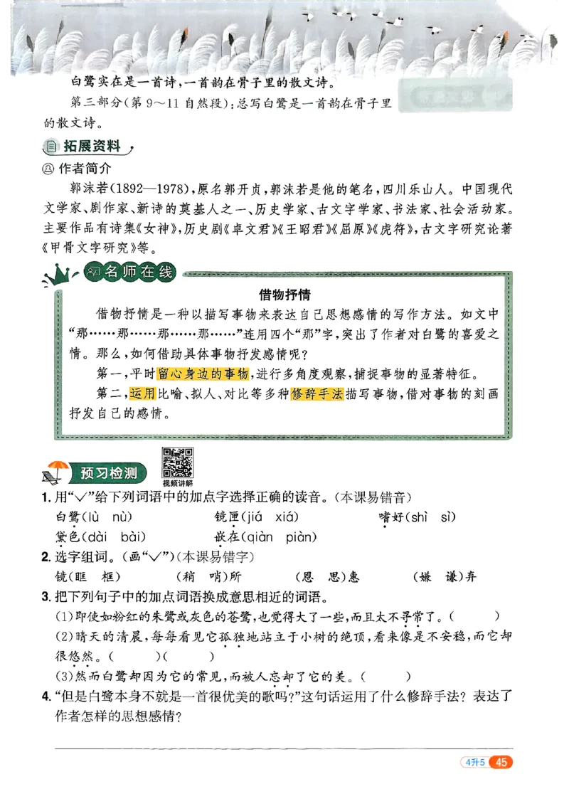 25版《阳光同学暑假衔接》语文4升5-副本_25秋《阳光同学》系列_25年1-6年级语文《阳光同学语文暑假衔接》_4升5