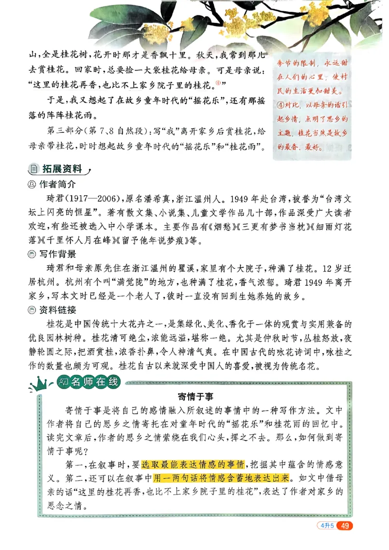 25版《阳光同学暑假衔接》语文4升5-副本_25秋《阳光同学》系列_25年1-6年级语文《阳光同学语文暑假衔接》_4升5