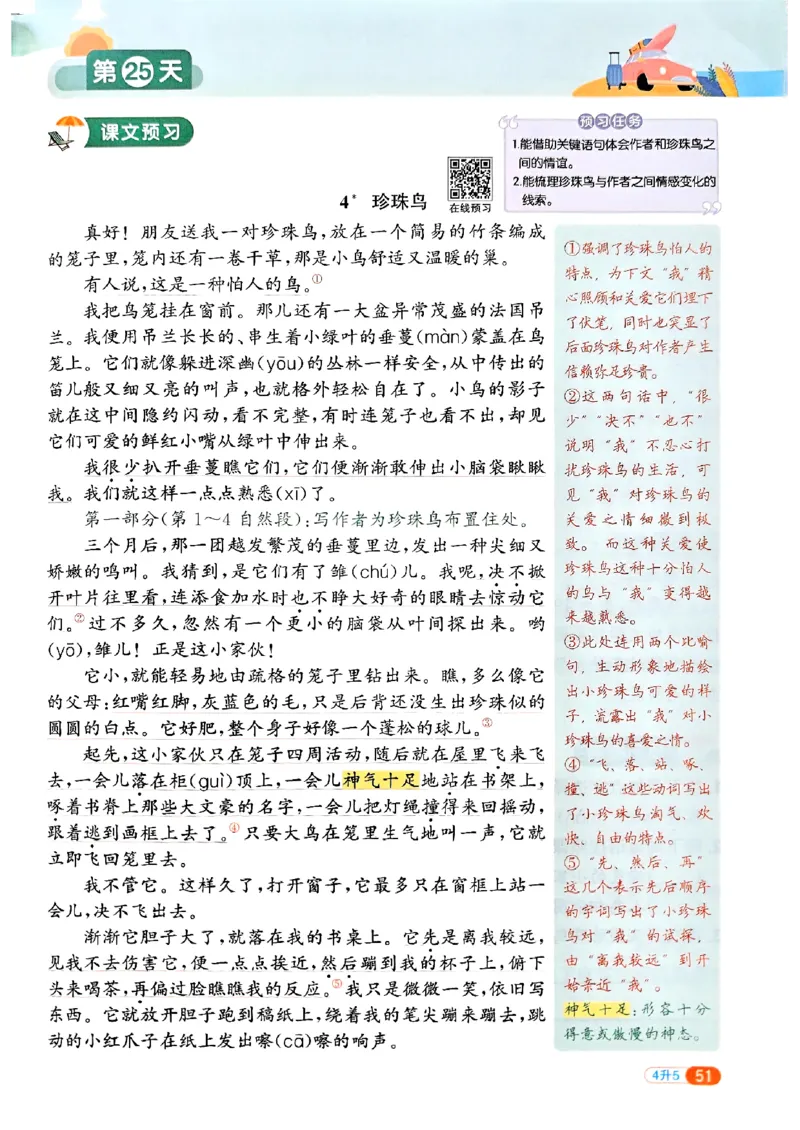 25版《阳光同学暑假衔接》语文4升5-副本_25秋《阳光同学》系列_25年1-6年级语文《阳光同学语文暑假衔接》_4升5