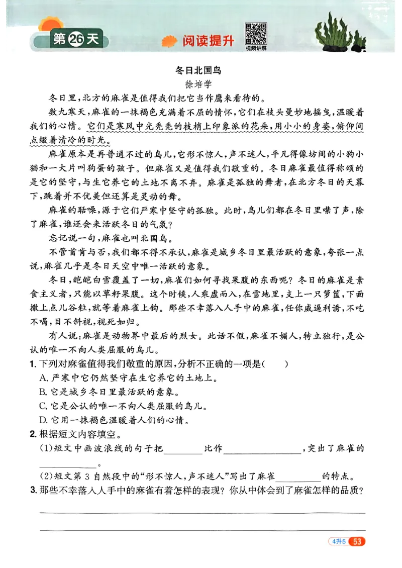 25版《阳光同学暑假衔接》语文4升5-副本_25秋《阳光同学》系列_25年1-6年级语文《阳光同学语文暑假衔接》_4升5